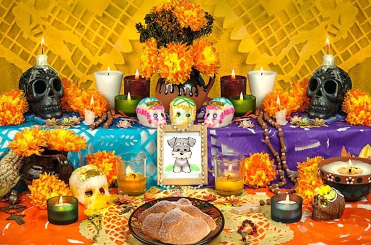 Carta a mi mascota: Puede que te hayas marchado, pero este Día de Muertos te espero