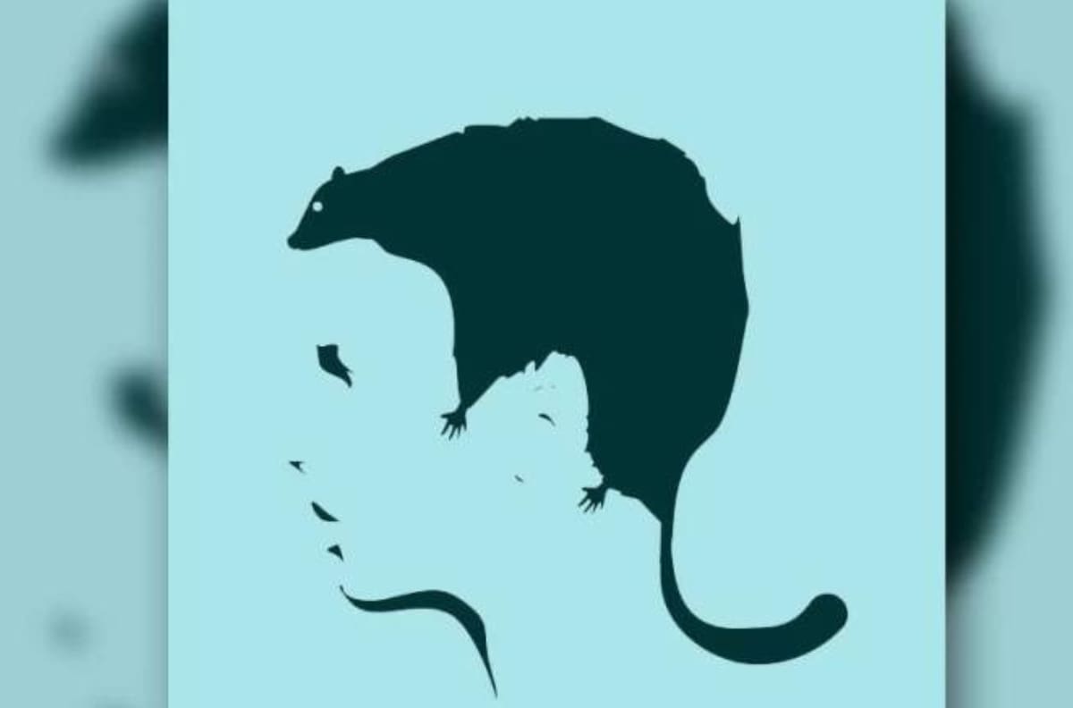 Resuelve este test de personalidad y descubre cuáles son tus problemas en el amor