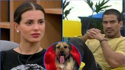 “Hay gente que no tiene paciencia”: Constanza Capelli acusó que Sebastián Ramírez le pegó patadas a Bigote en “Gran Hermano” Chile