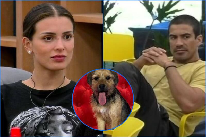 Constanza Capelli, Sebastián Ramírez y Bigote de "Gran Hermano" Chile.