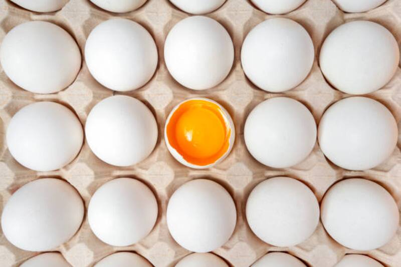 El huevo tendrá un alzar en marzo.