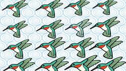 Ubica en tres segundos el colibrí diferente de este acertijo visual