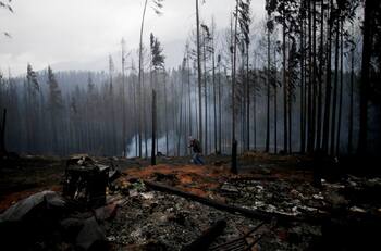 Trágicos incendios en la Patagonia dejan sin vida a un campesino, un caballo y un perro