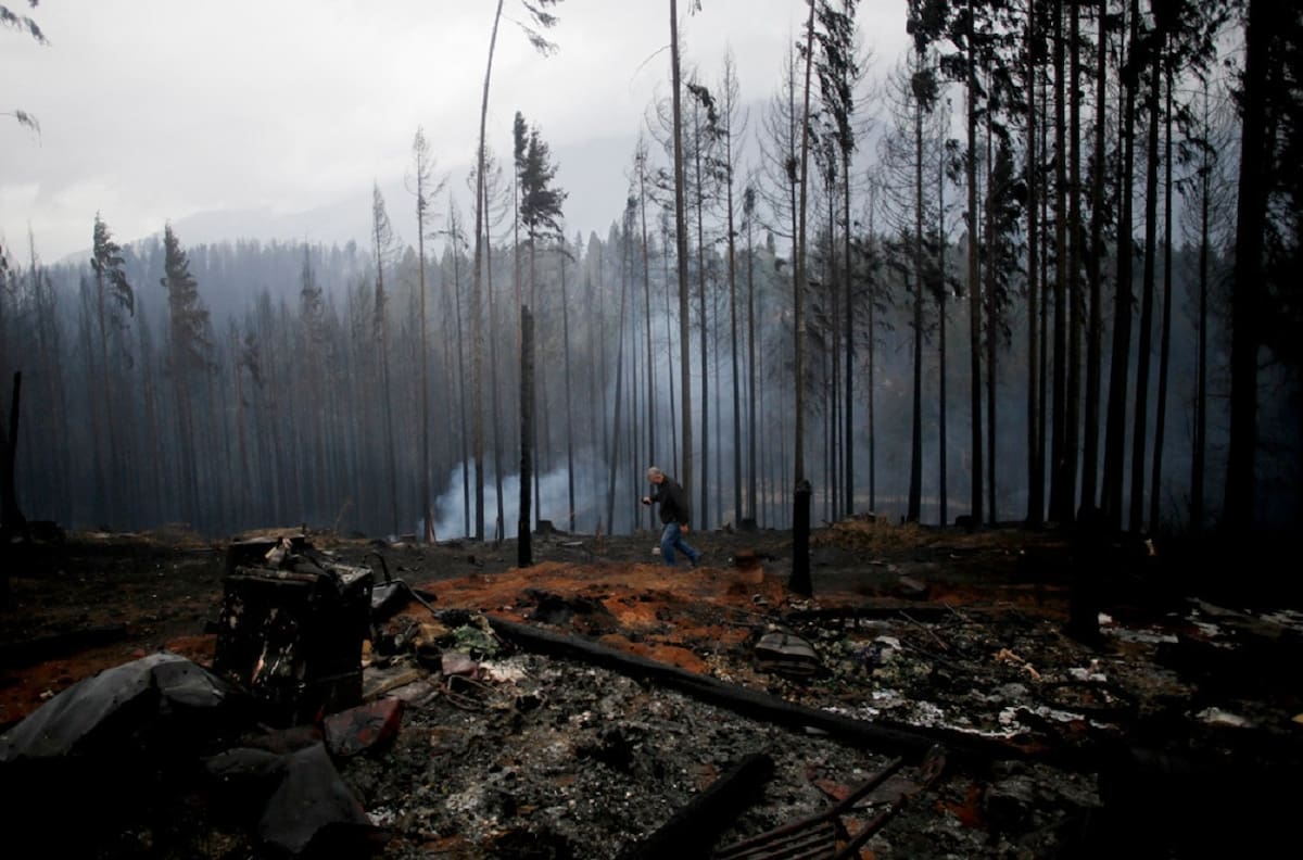 Trágicos incendios en la Patagonia dejan sin vida a un campesino, un caballo y un perro