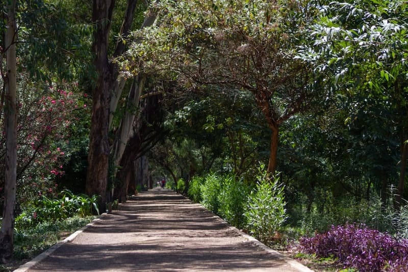 El Parque se rehabilitó en 2020 en sus más de 8 kilómetros de longitud.