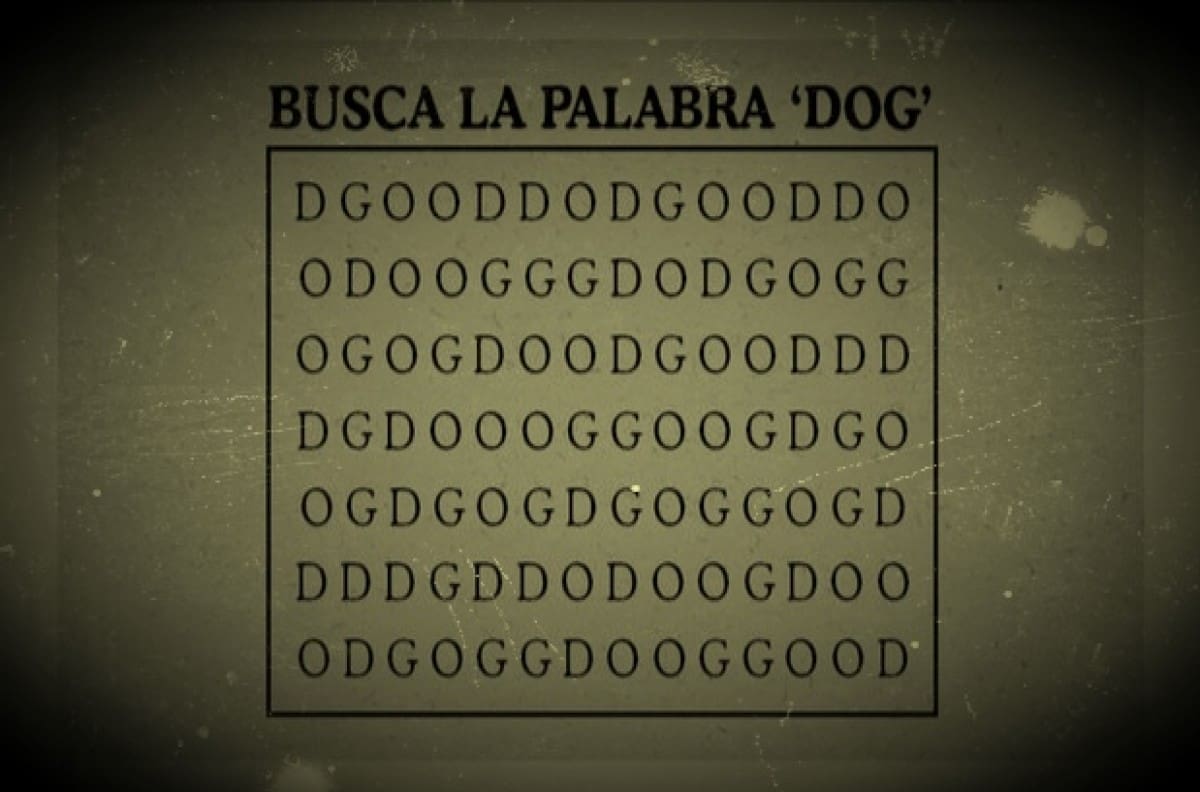 Acertijo visual: Encuentra la palabra en inglés "DOG"