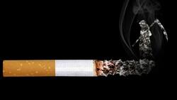 15 frases para combatir el uso del cigarrillo en el Día Mundial Sin Tabaco