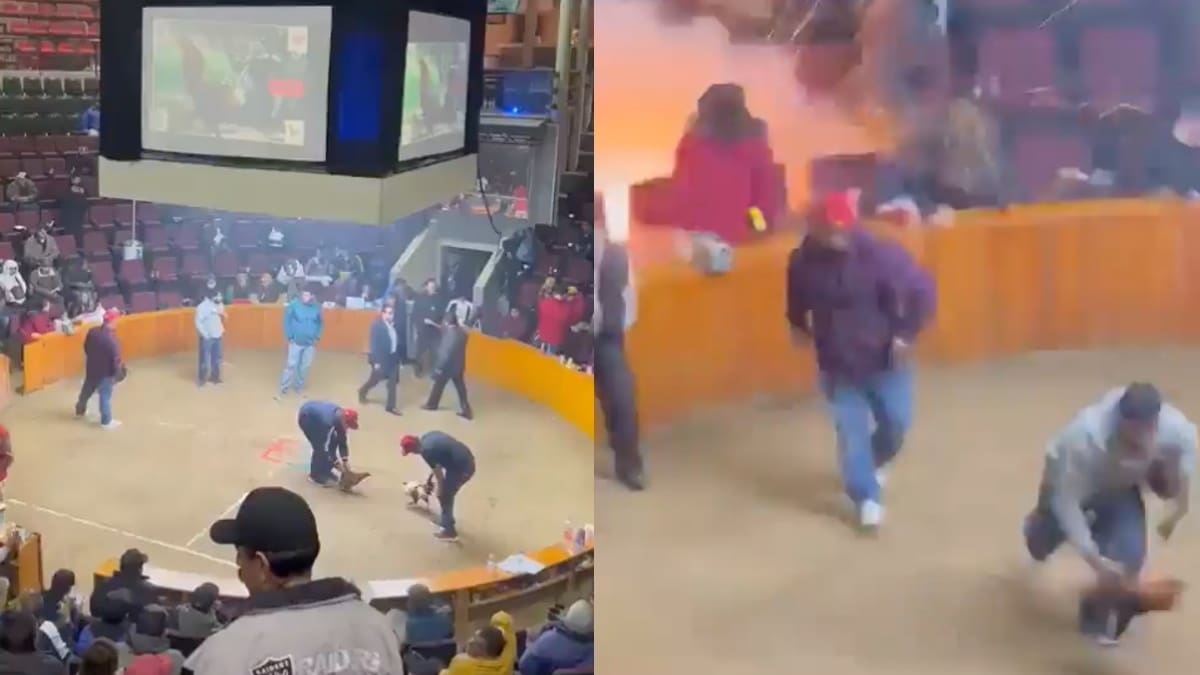 Captan el momento exacto de una explosión en pelea de Gallos en Hidalgo | VIDEO