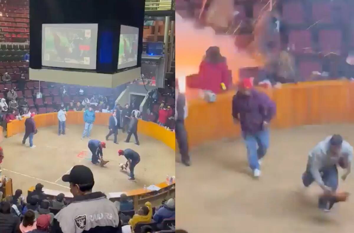 Captan el momento exacto de una explosión en pelea de Gallos en Hidalgo | VIDEO