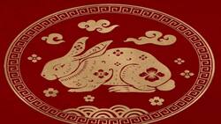 Horóscopo Chino 2022: Estas son las predicciones para el Conejo en el año del Tigre