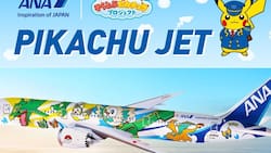 Rayquaza, Charizard, Rowlett y más surcan los cielos: Mira este jet con temática de Pokémon