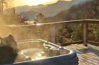 (VIDEO) Oso busca día de spa invadiendo un jacuzzi, tras compartir video arden las redes sociales