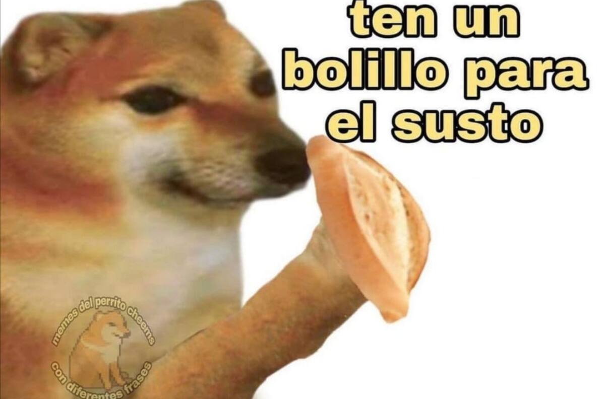 ¿Otra vez? Estos son los memes por el terremoto de este 19 de septiembre