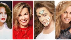 Soldado del Amor: de Ilse a Lucero, ellas fueron novias de Manuel Mijares