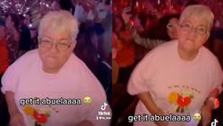 VIDEO | Abuelita se vuelve viral tras asistir a un concierto de Bad Bunny y pasársela increíble