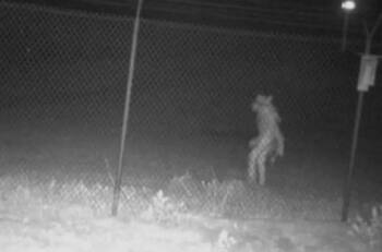 Horrible silueta aparece en un zoológico de Texas y se vuelve viral
