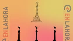 Acertijo visual: ¿Podrás encontrar la sombra correcta?