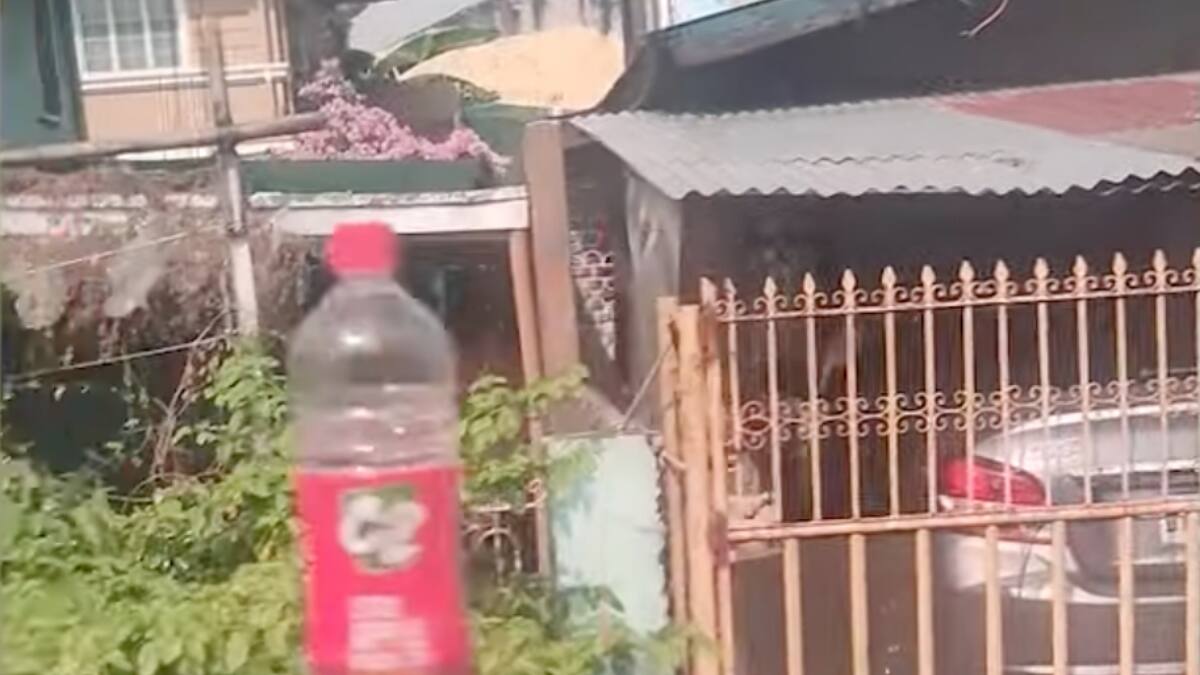 Video viral: chica en bicicleta balanceaba una botella de agua sobre su cabeza mientras pedaleaba por la calle
