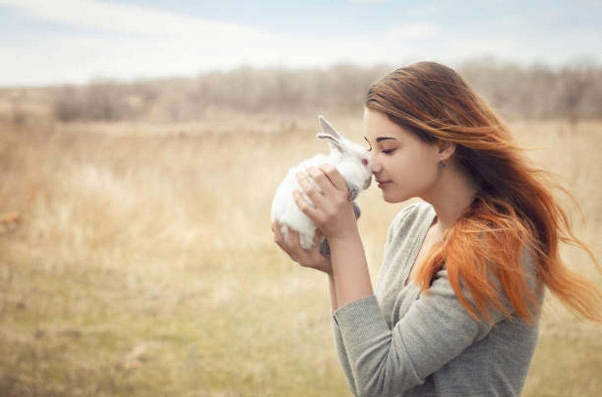 ¿Qué animales atraen la buena suerte en 2023?