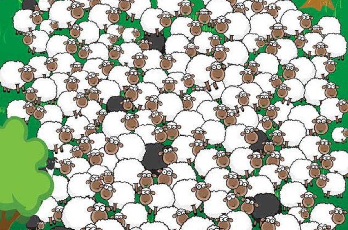 Acertijo visual: Encuentra al perro y a la oveja dormida en menos de 20 segundos