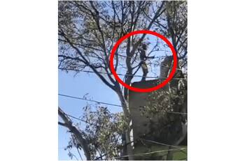 VIDEO: Sujeto muere al caer de una azotea; escapaba de asesinar a un policía