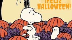 Halloween: Las mejores frases e imágenes para enviar a tus contactos por WhatsApp