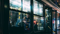 ¿Te mareas andando en auto o bus? Estos consejos te ayudarán a tener un viaje mucho más placentero