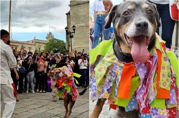 VIDEO | Adorable perrito baila en la Guelaguetza y se vuelve viral