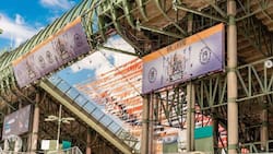 Vive Latino 2023: Estos son los horarios, mapa y formas de pago en el festival