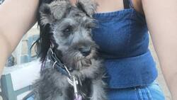 VIDEO | Hombre golpea brutalmente a perrito en el Estado de México