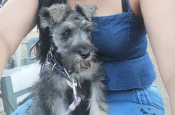 VIDEO | Hombre golpea brutalmente a perrito en el Estado de México