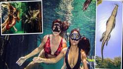 Video: Pareja nada rodeada de cocodrilos en un cenote mexicano