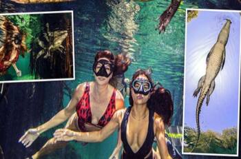 Video: Pareja nada rodeada de cocodrilos en un cenote mexicano