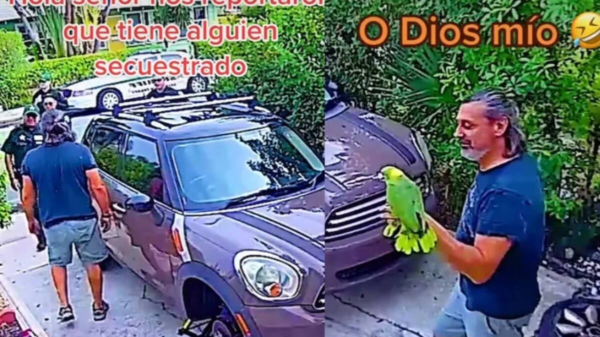 VIDEO | “¡Déjame salir!” Loro confunde a policías, creyeron que había una persona secuestrada