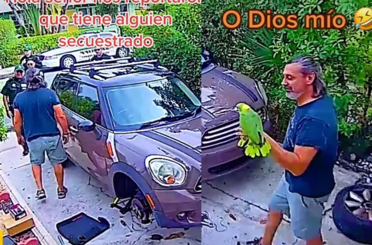 VIDEO | “¡Déjame salir!” Loro confunde a policías, creyeron que había una persona secuestrada