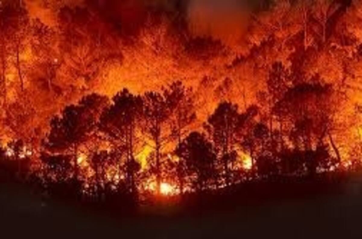 Se emiten declaratorias de emergencia por incendios y heladas en 28 municipios de Oaxaca