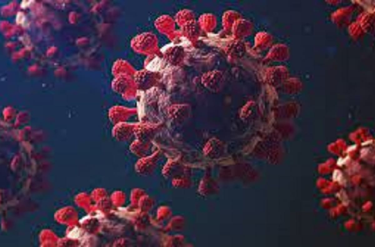 Descubren nueva variante de Covid-19 en Francia en pacientes con PCR negativo