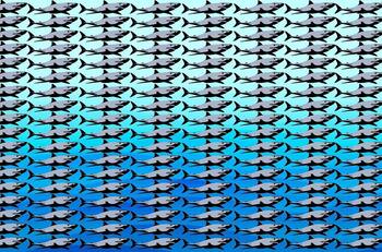 Acertijo visual: Encuentra a los peces en tan sólo 40 segundos