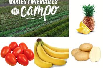Martes y miércoles del campo en Soriana: Frutas y verduras en oferta este 22 y 23 de noviembre