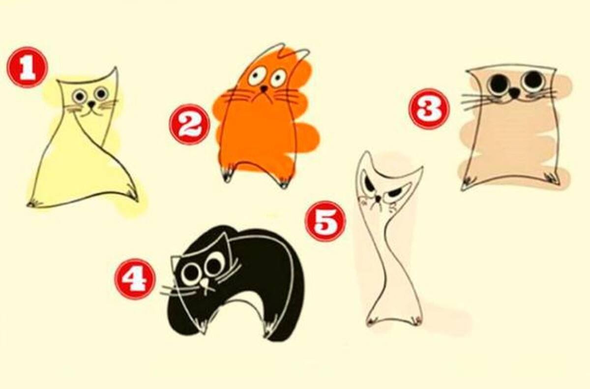 Test de personalidad: ¿Qué gato eliges? Descubre lo que tus amigos dicen de ti