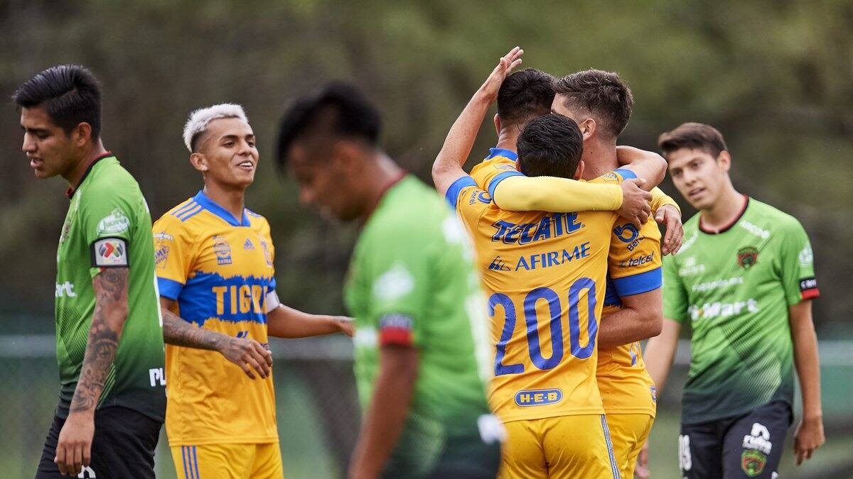 Fútbol de Estufa: estos son los jugadores de Tigres que "Tuca" Ferretti podría llevarse a Bravos