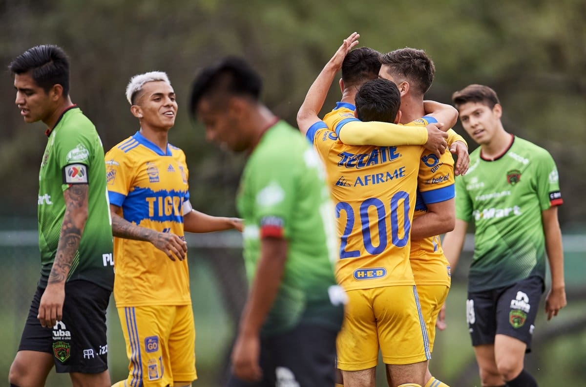 Fútbol de Estufa: estos son los jugadores de Tigres que "Tuca" Ferretti podría llevarse a Bravos