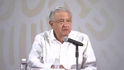 Qué es la AMLOPEDIA, para qué sirve y cómo utilizarla