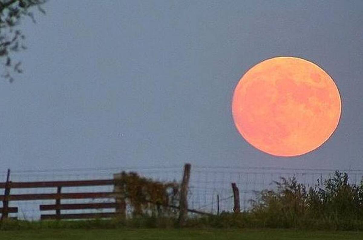 Luna de la Cosecha 2021: ¿Dónde, cómo y cuándo verla?