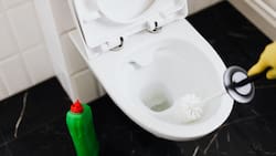 Desmancha tu inodoro con este truco casero de dos ingredientes