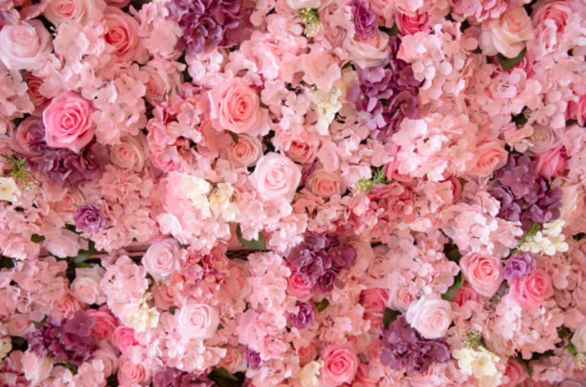 Este ritual con flores te ayudará a alejar la mala energía de tu casa