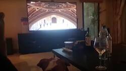 Video: Perrita aulló y lloriqueó mientras veía el funeral de Felipe de Edimburgo