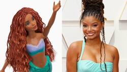 Nueva Muñeca de La Sirenita: Cuánto cuesta y dónde comprarla