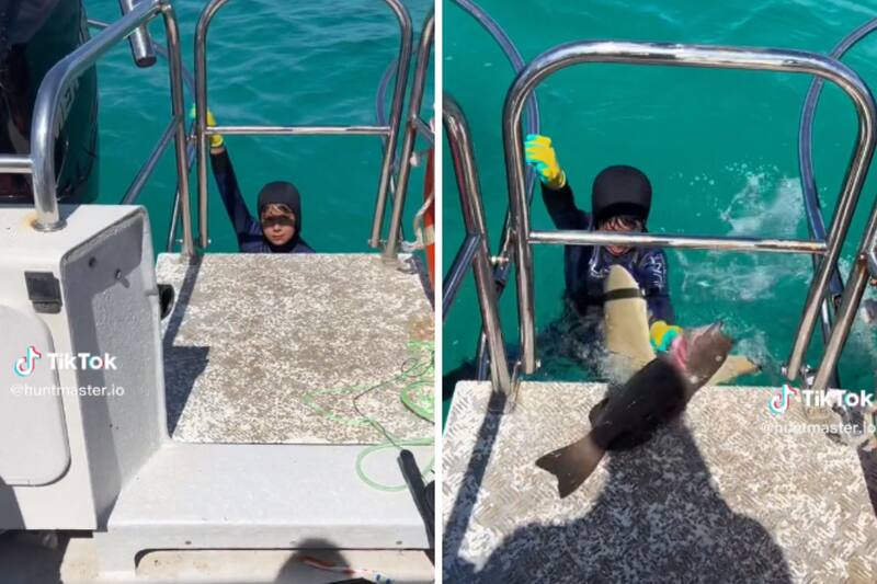 El menor fue agredido por un tiburón cuando se encontraba atrapando peces.