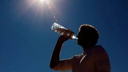 Esta es la bebida que debes evitar durante la época de calor